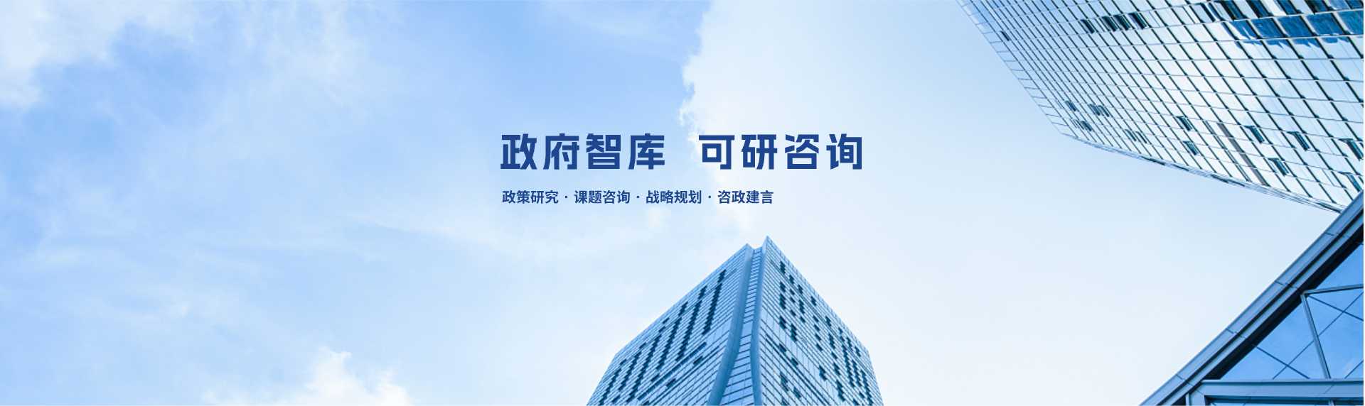 专家团队